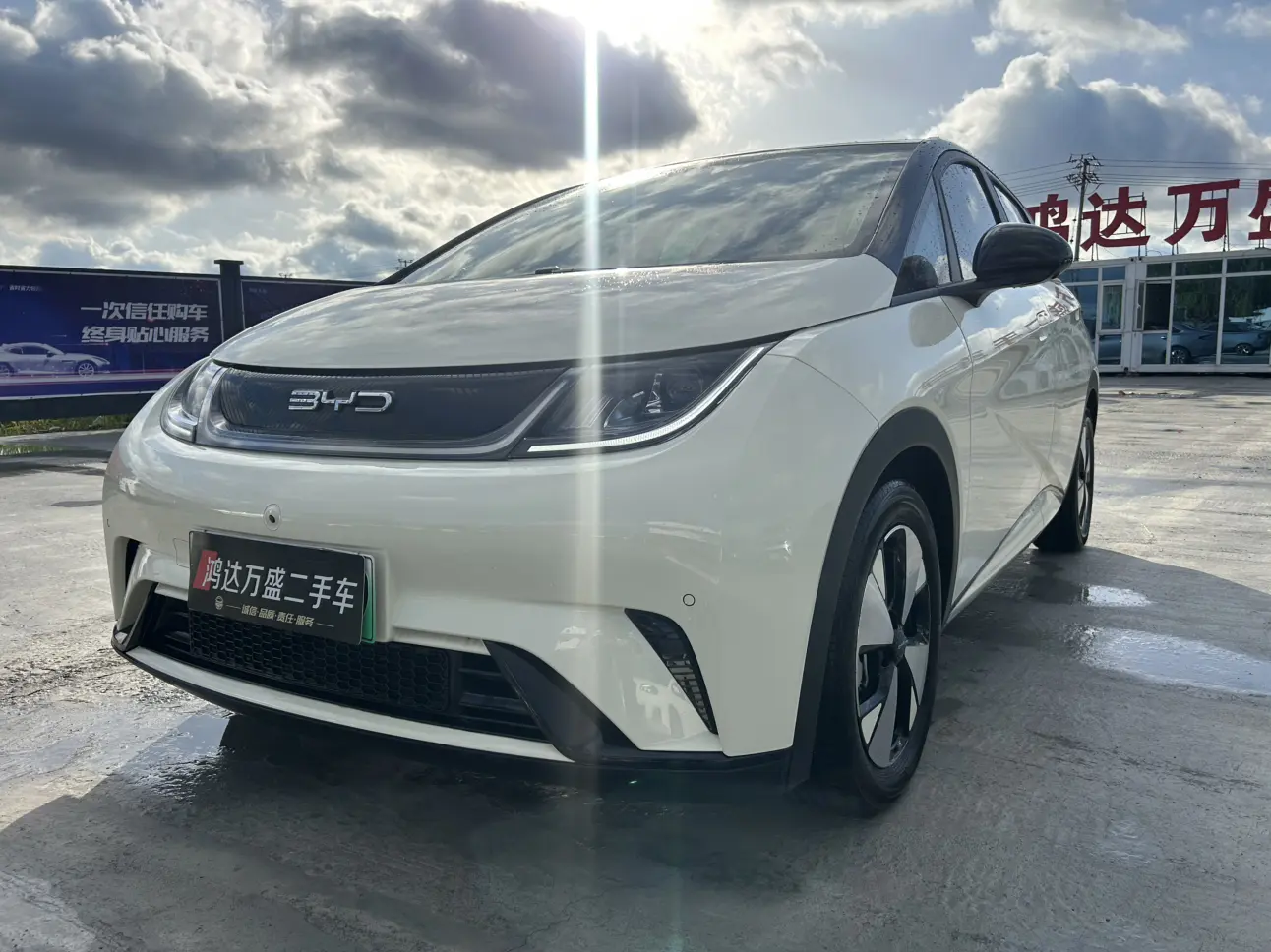 BYD Dolphin