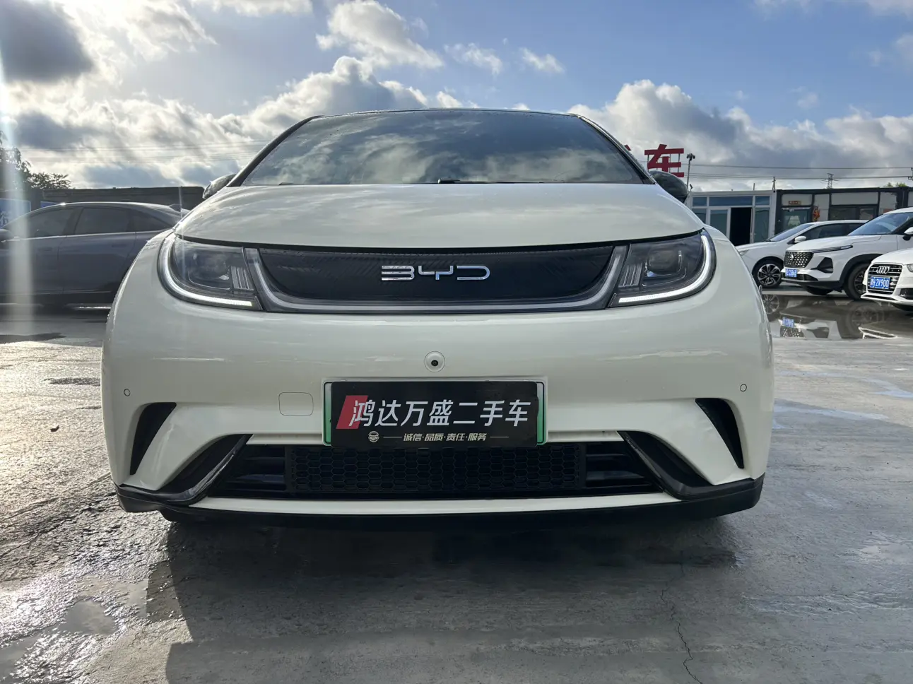 BYD Dolphin
