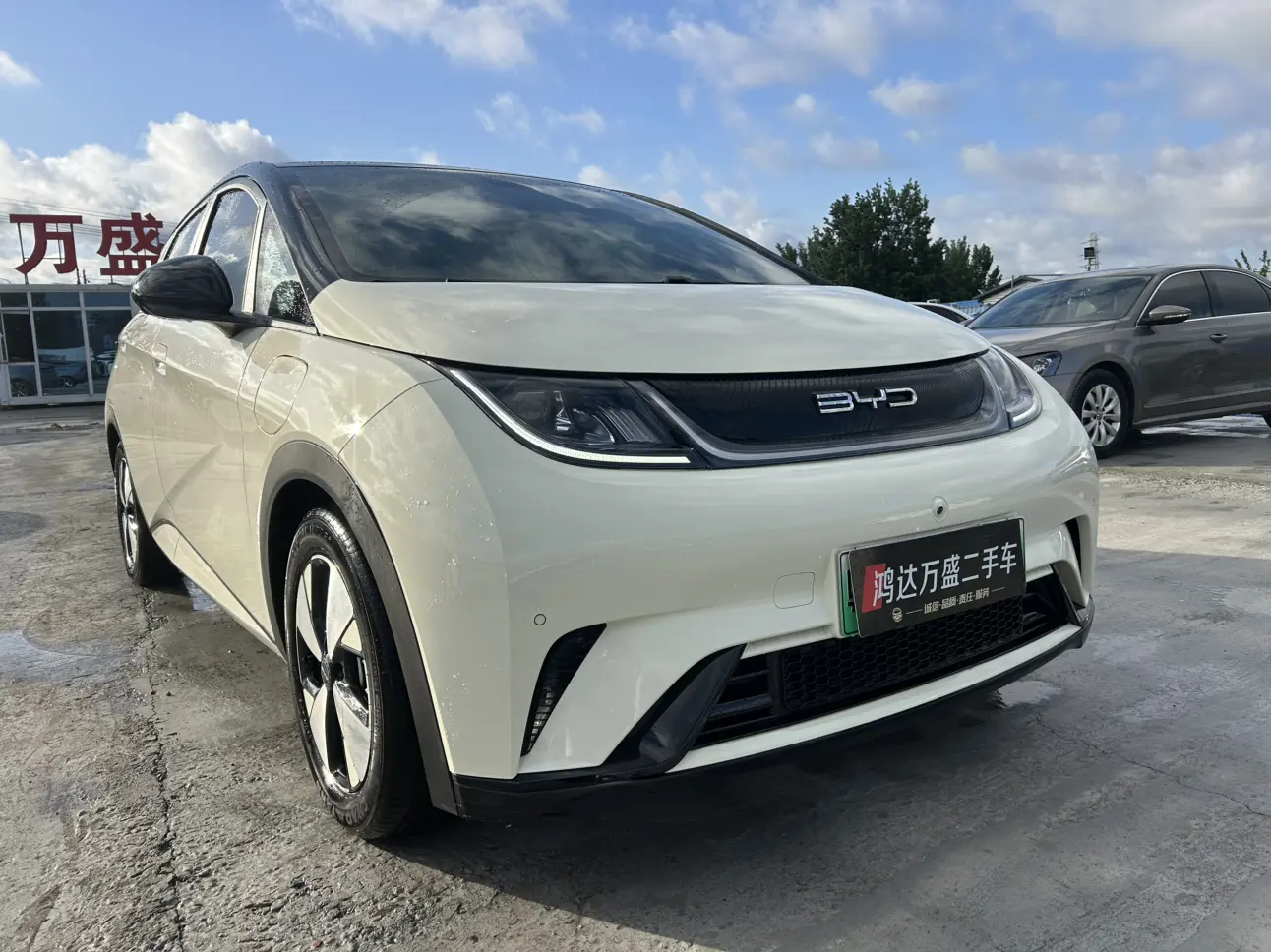 BYD Dolphin