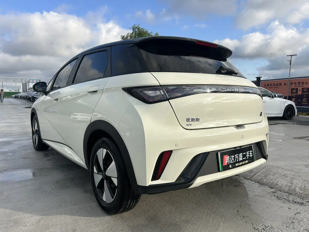 BYD Dolphin