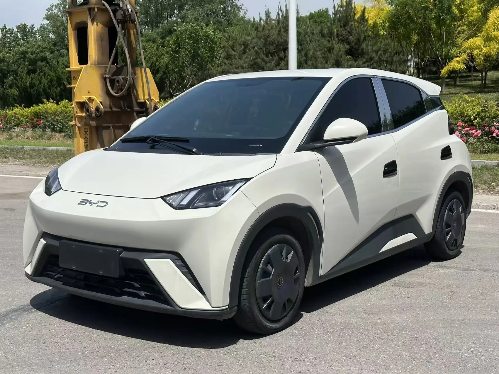 BYD seagull