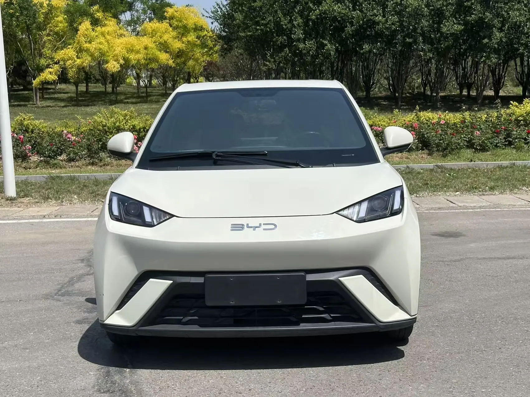 BYD seagull