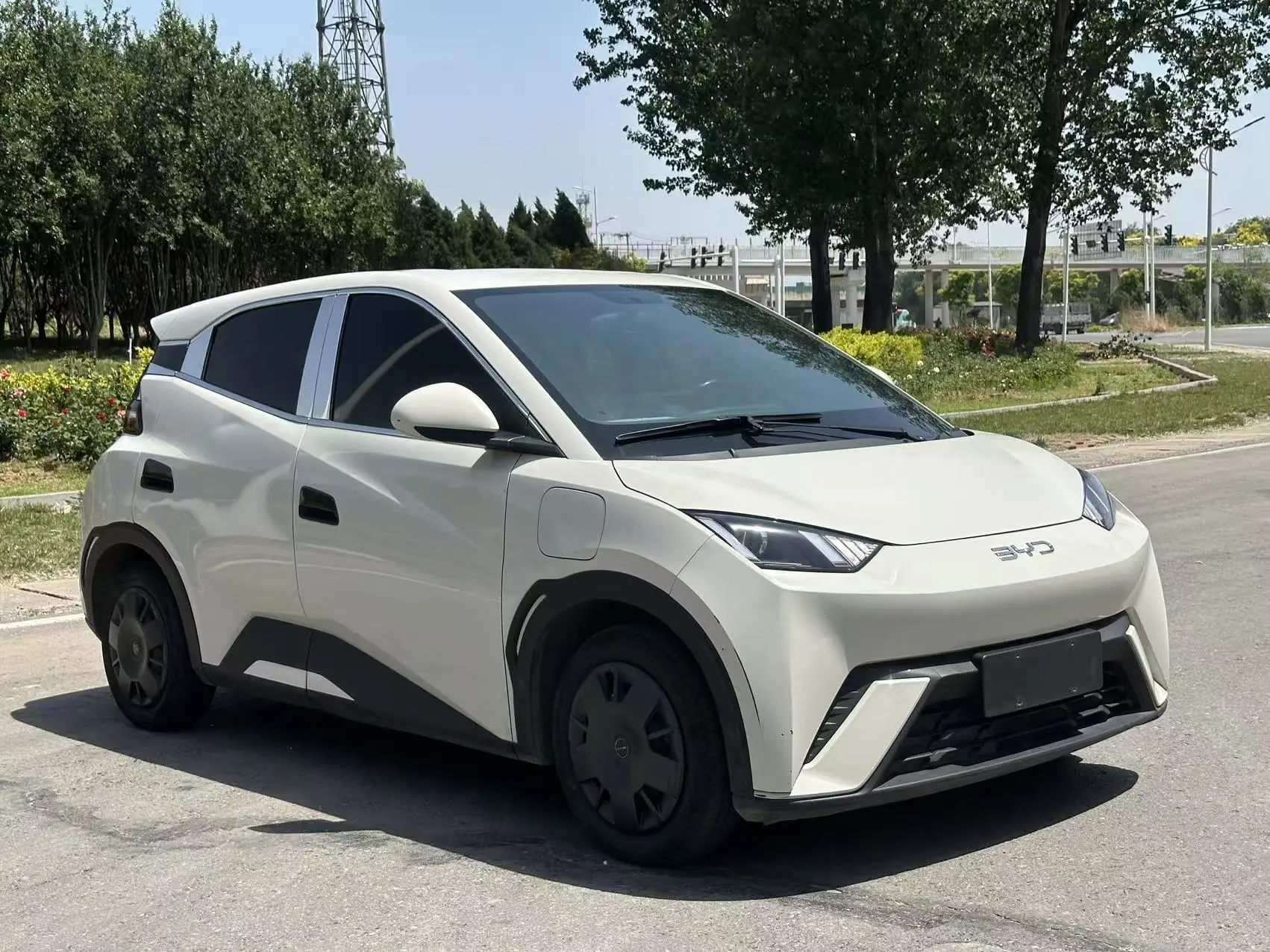 BYD seagull