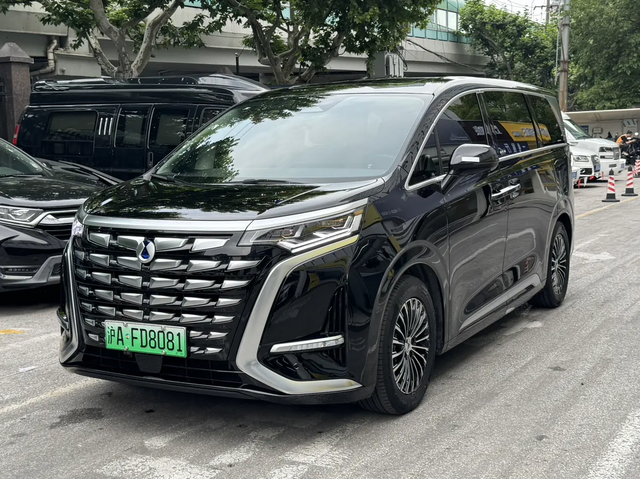 Denza D9 DM