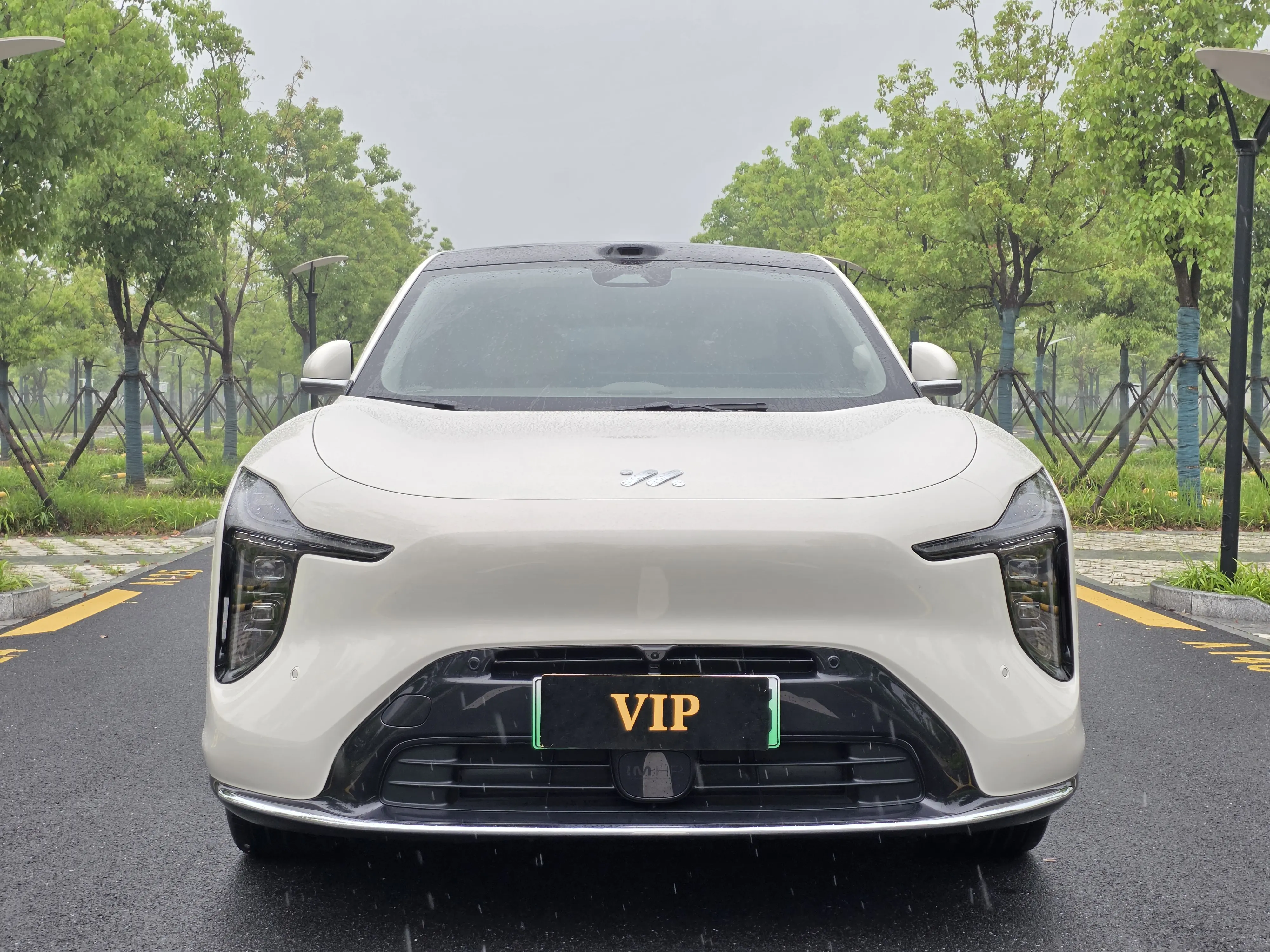 IM Motors LS6