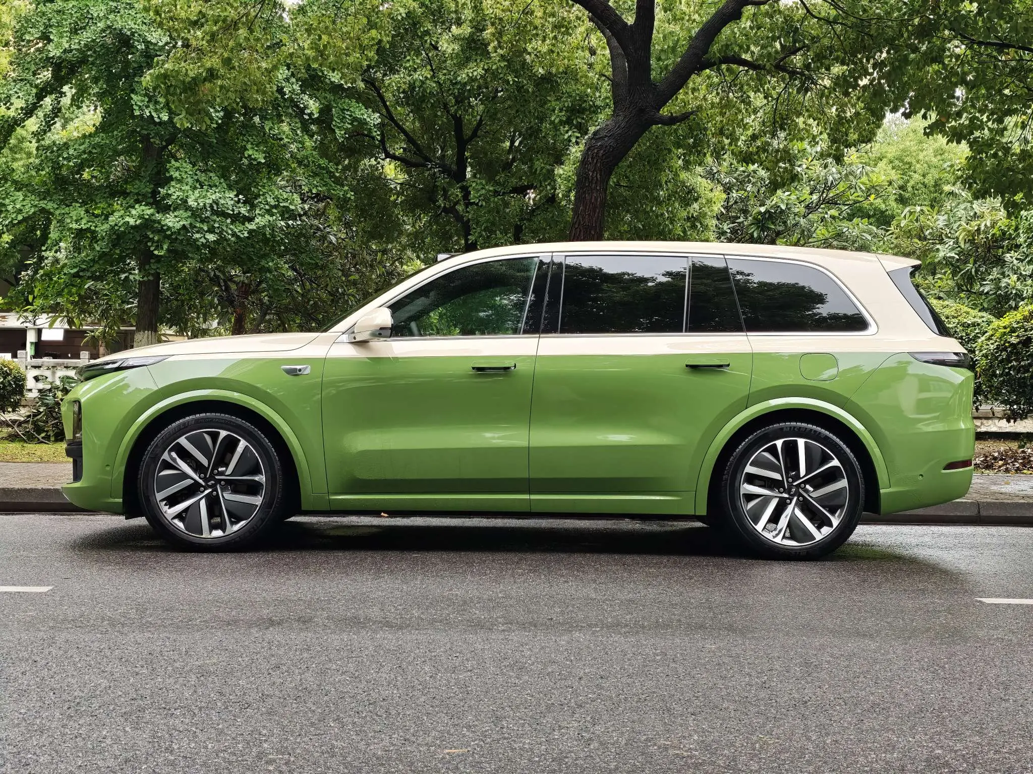 Lixiang L9