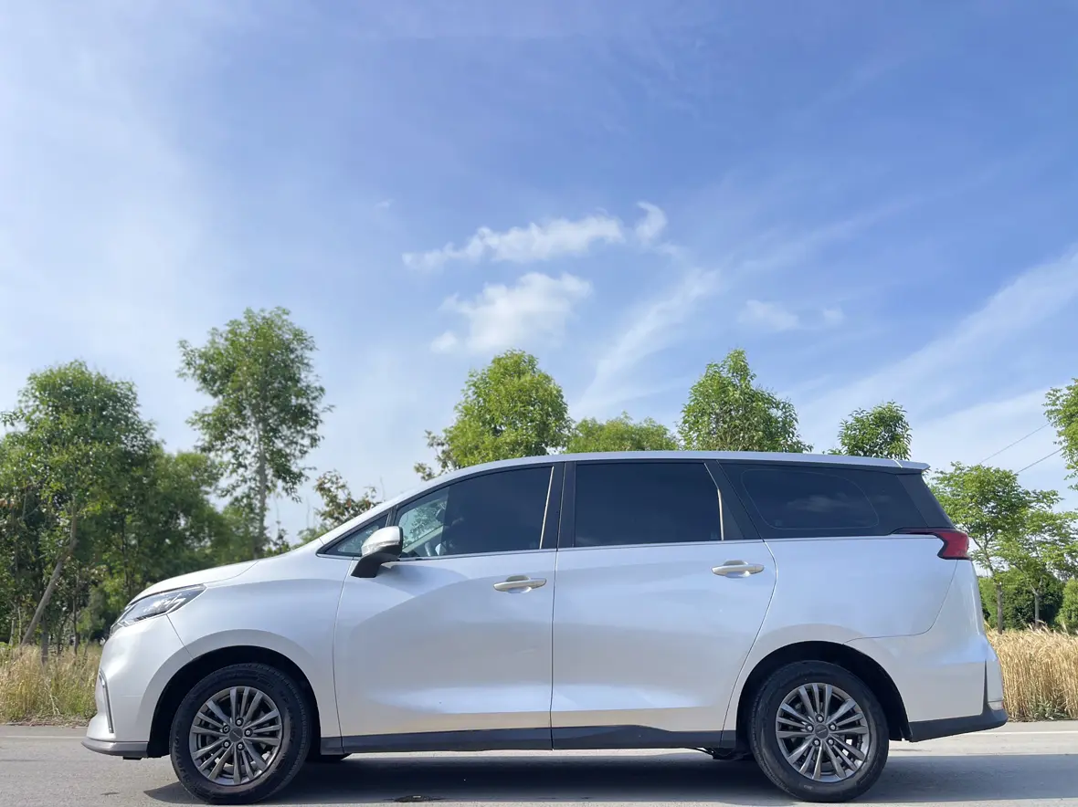 Datong Maxus G50