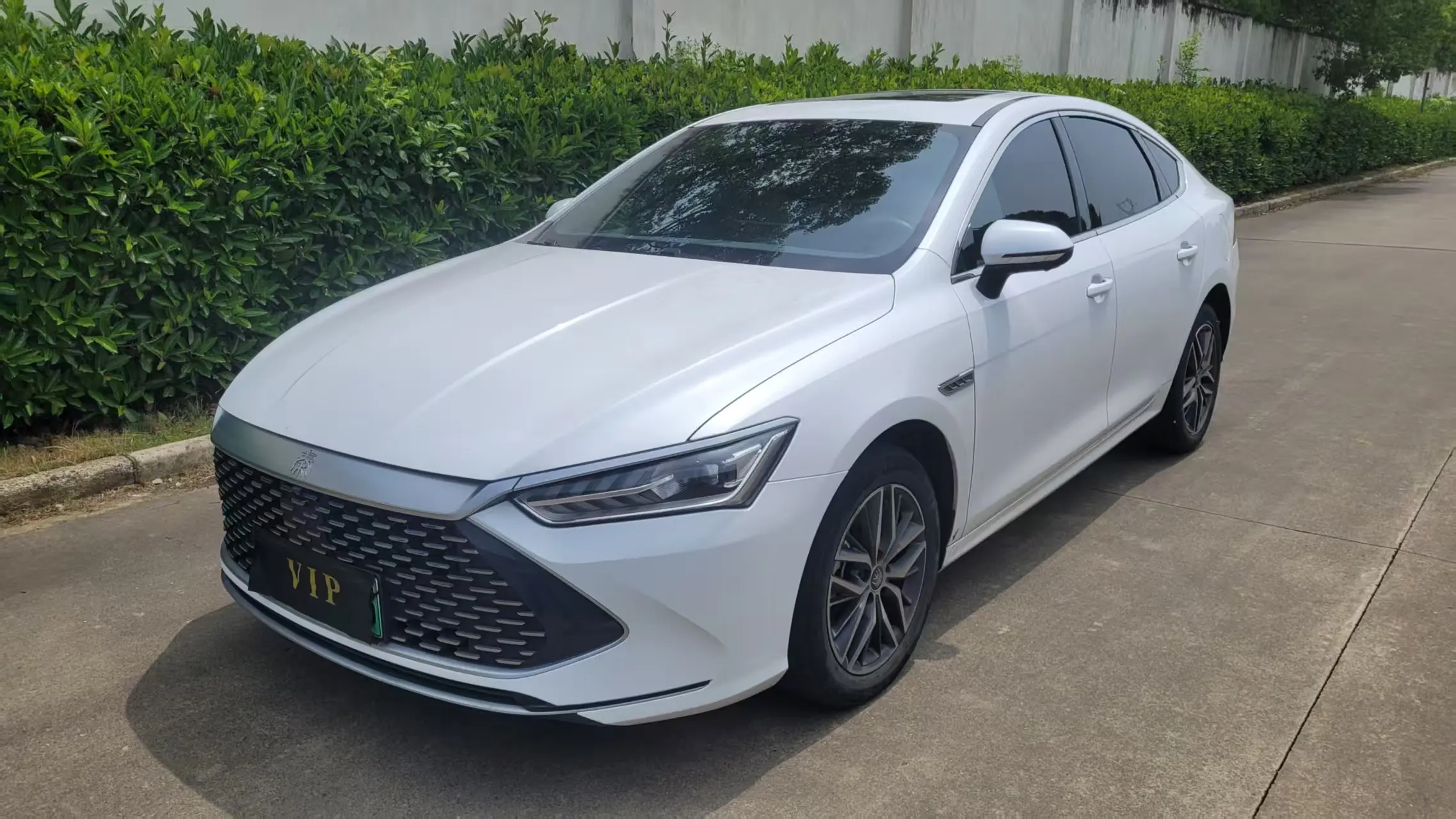 BYD Qin PLUS DM