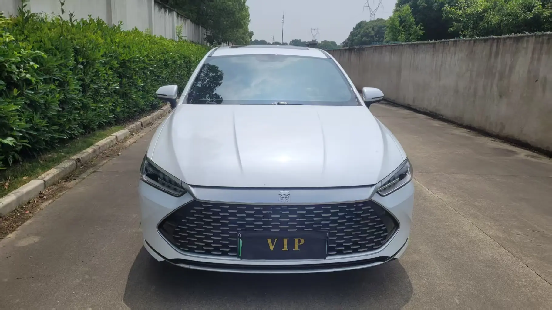 BYD Qin PLUS DM