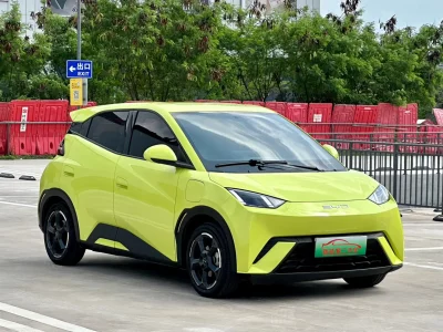 BYD Seagull