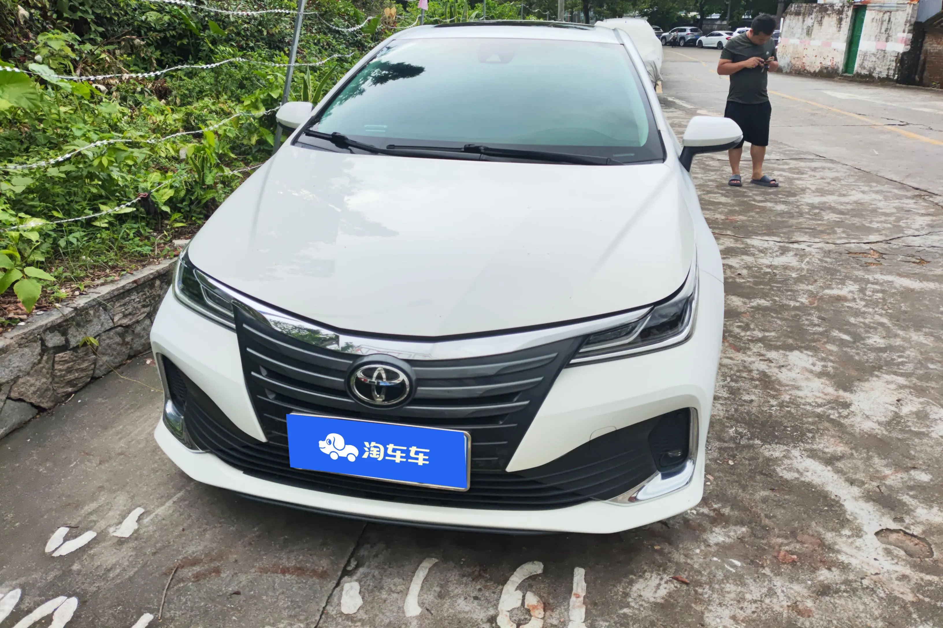 Toyota Asiatic lion