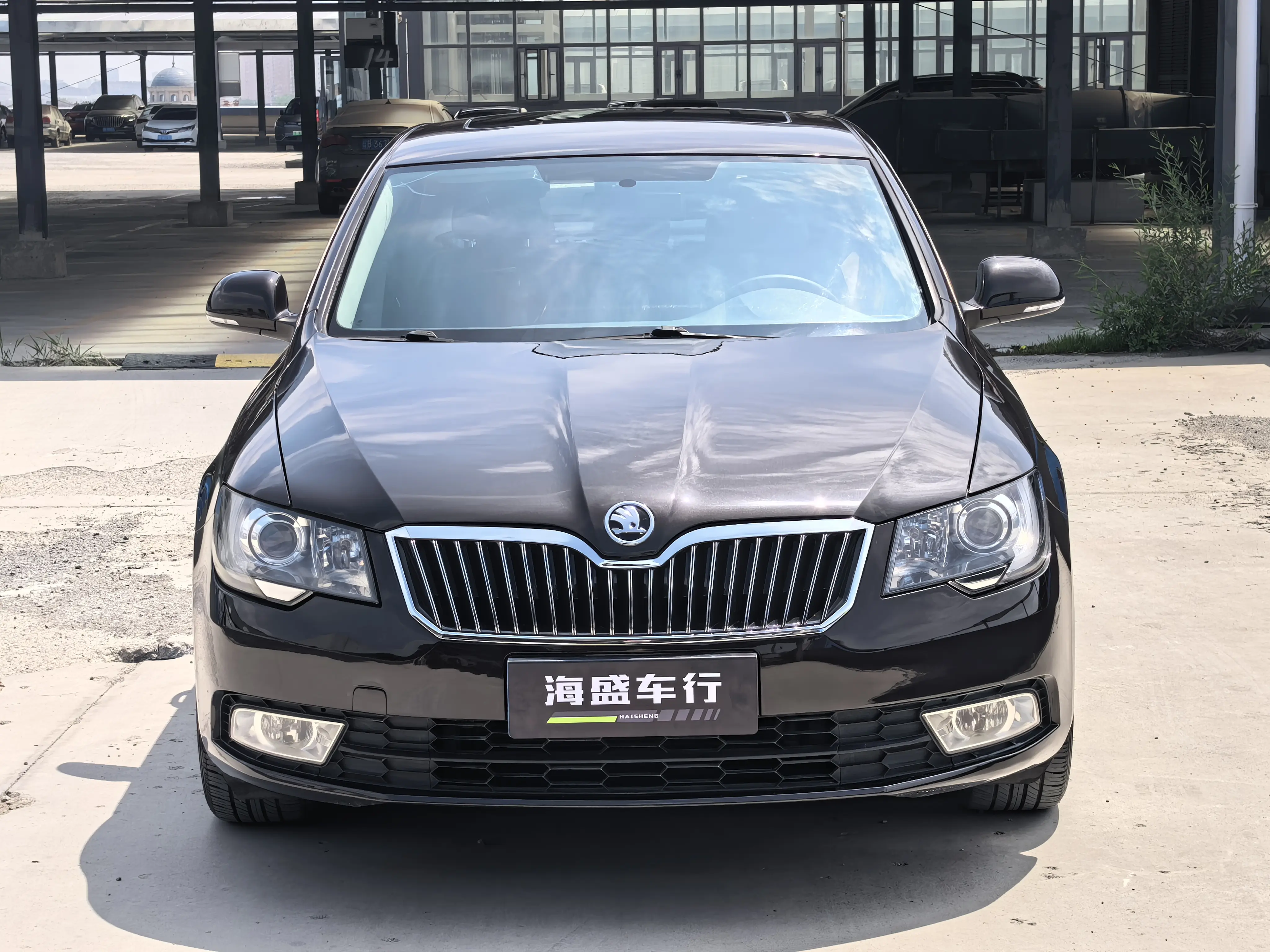 Skoda Speedy