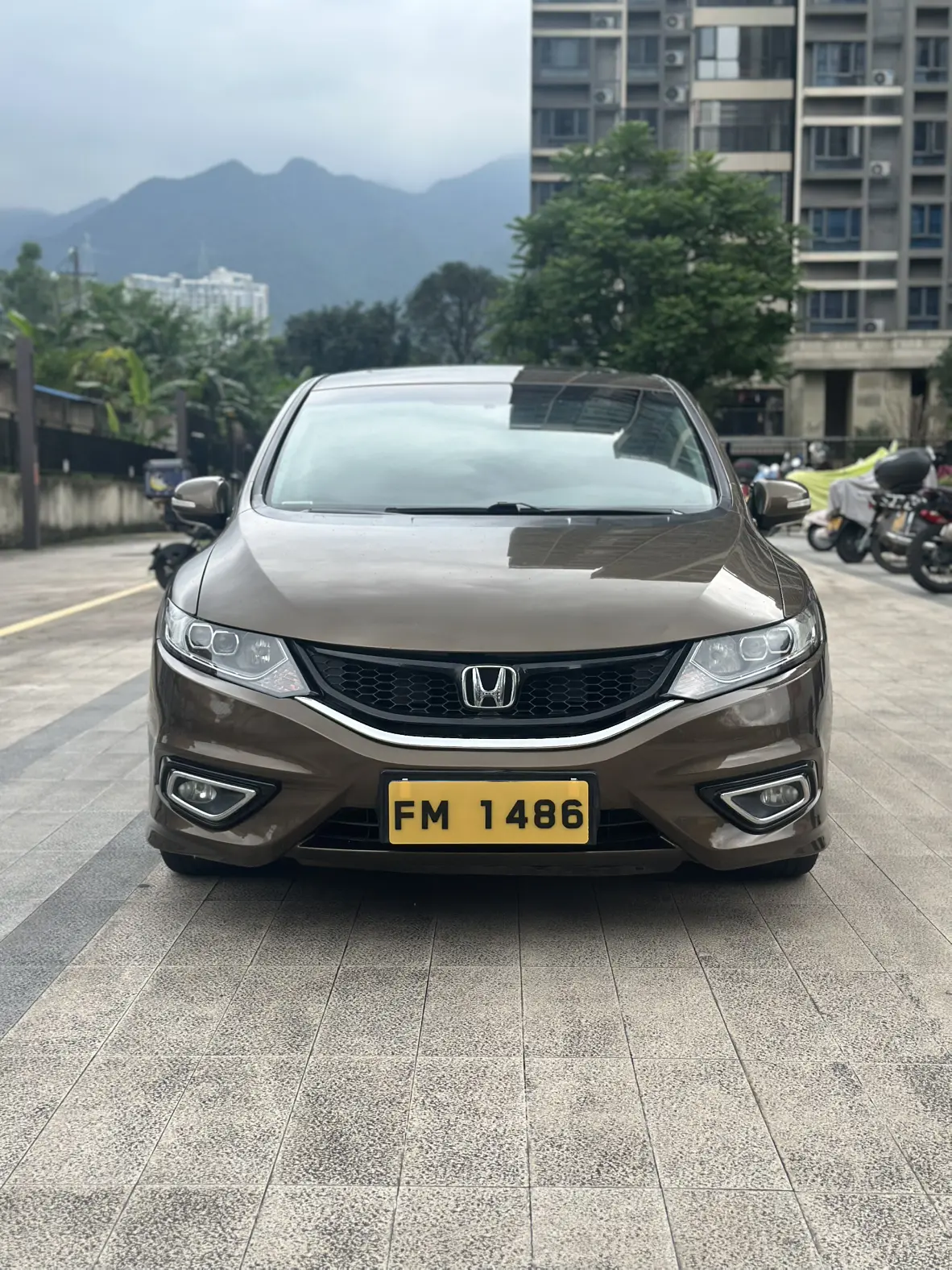 Honda Jed