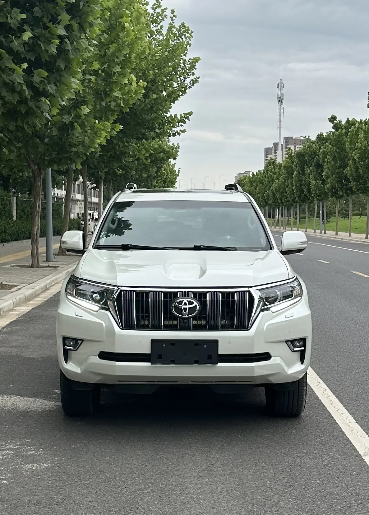 Toyota prado