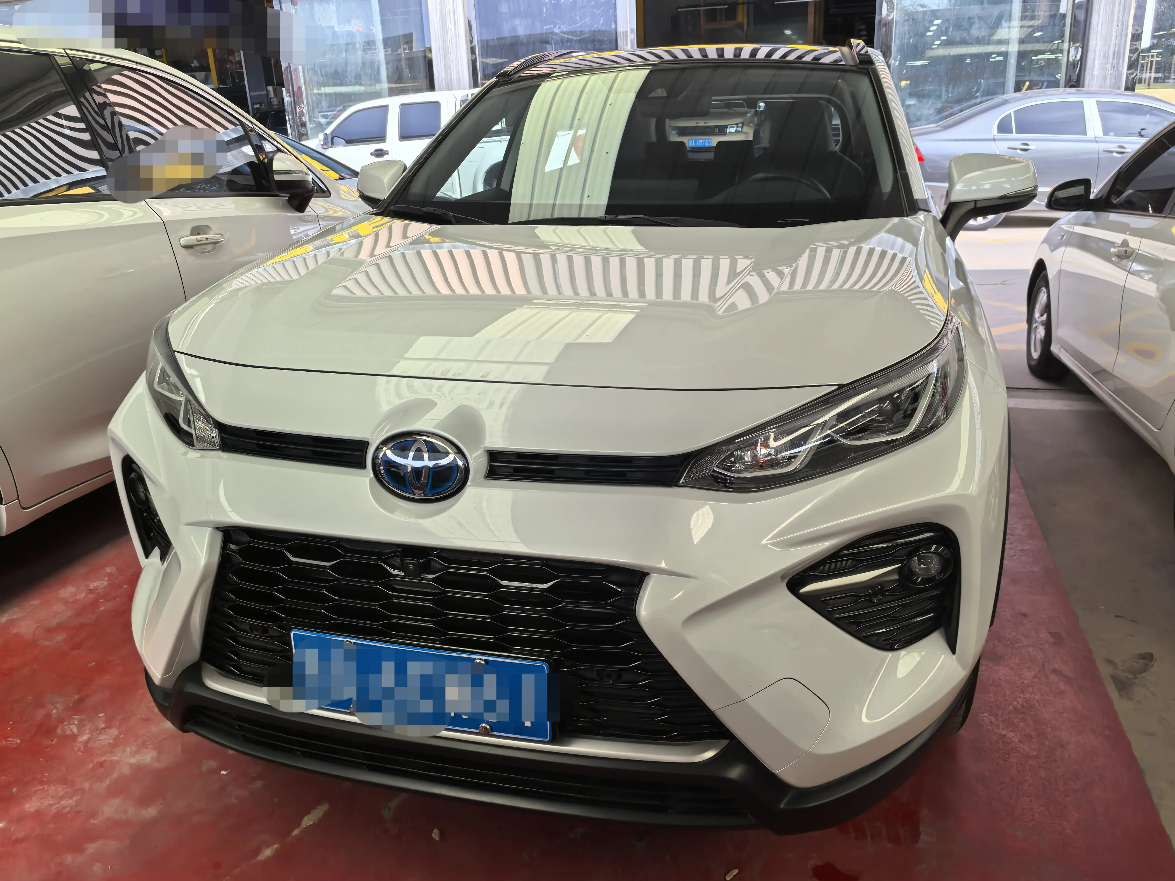 Toyota Willanda