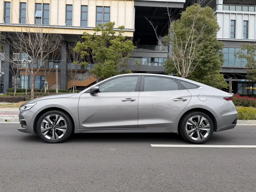 Hyundai Lafesta