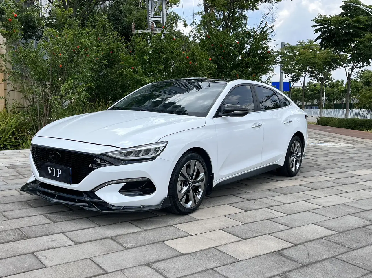 Hyundai Lafesta