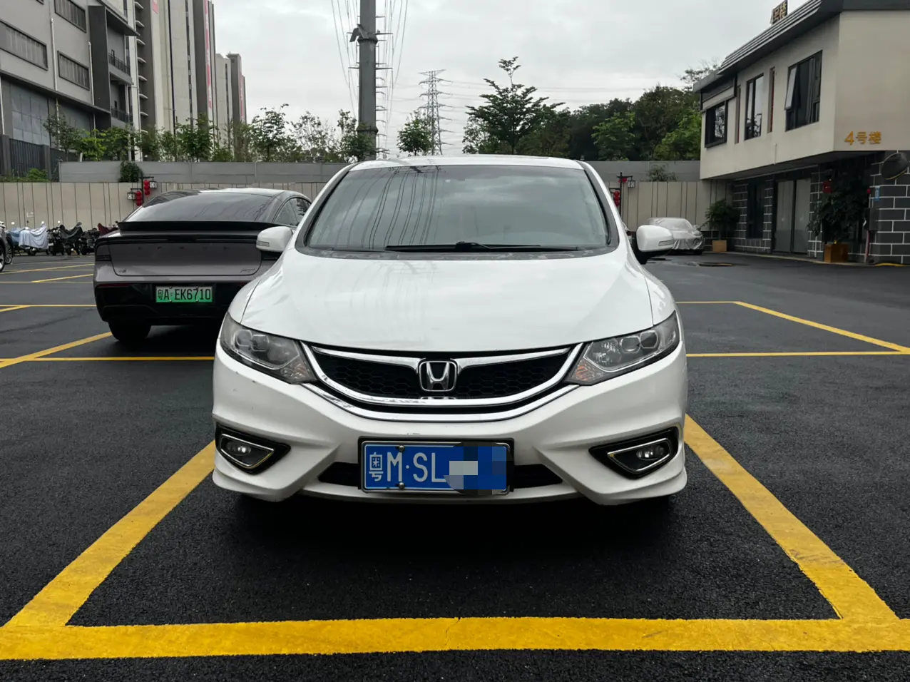 Honda Jed