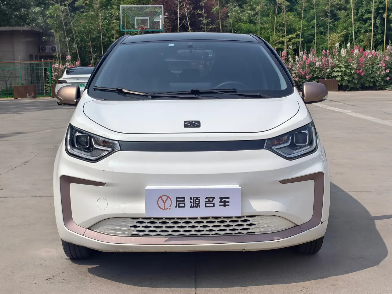JAC (Sihao) Sihao Flower Fairy