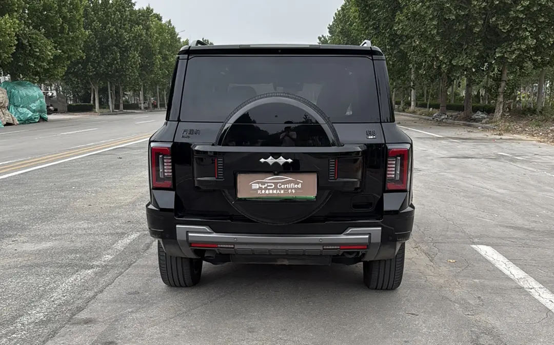 BYD Leopard Leopard 8
