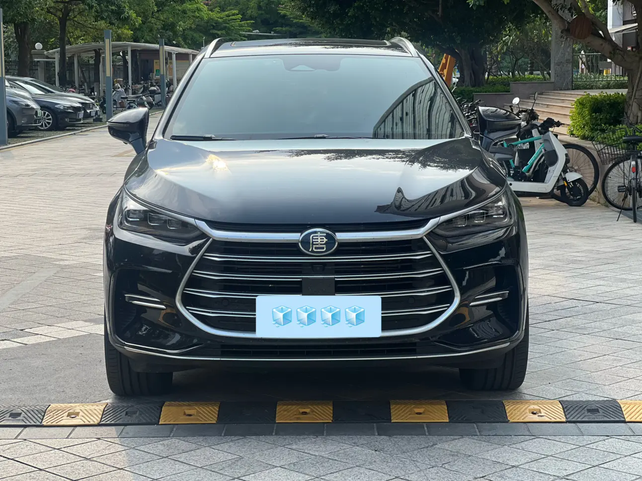 BYD Tang DM