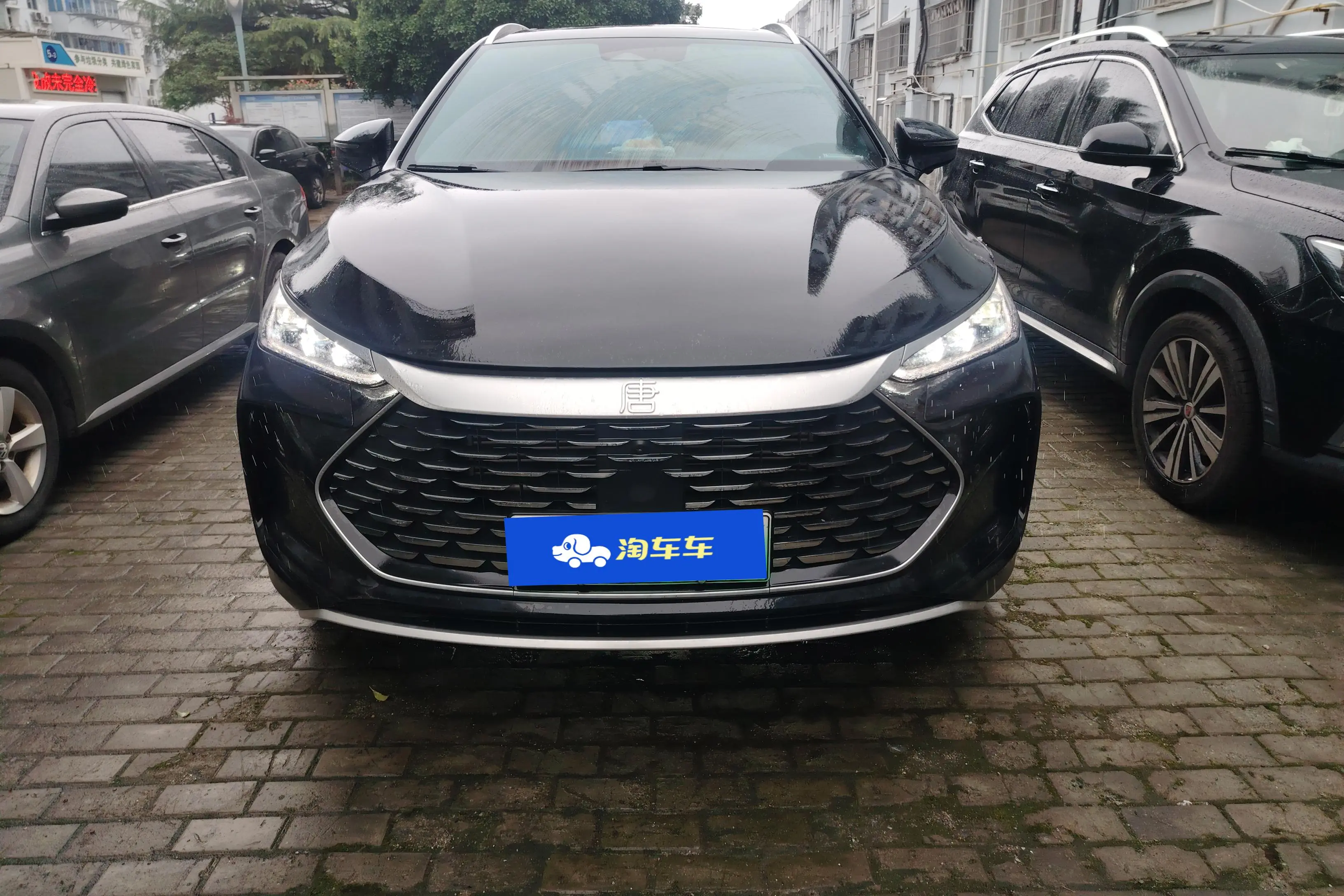 BYD Tang DM