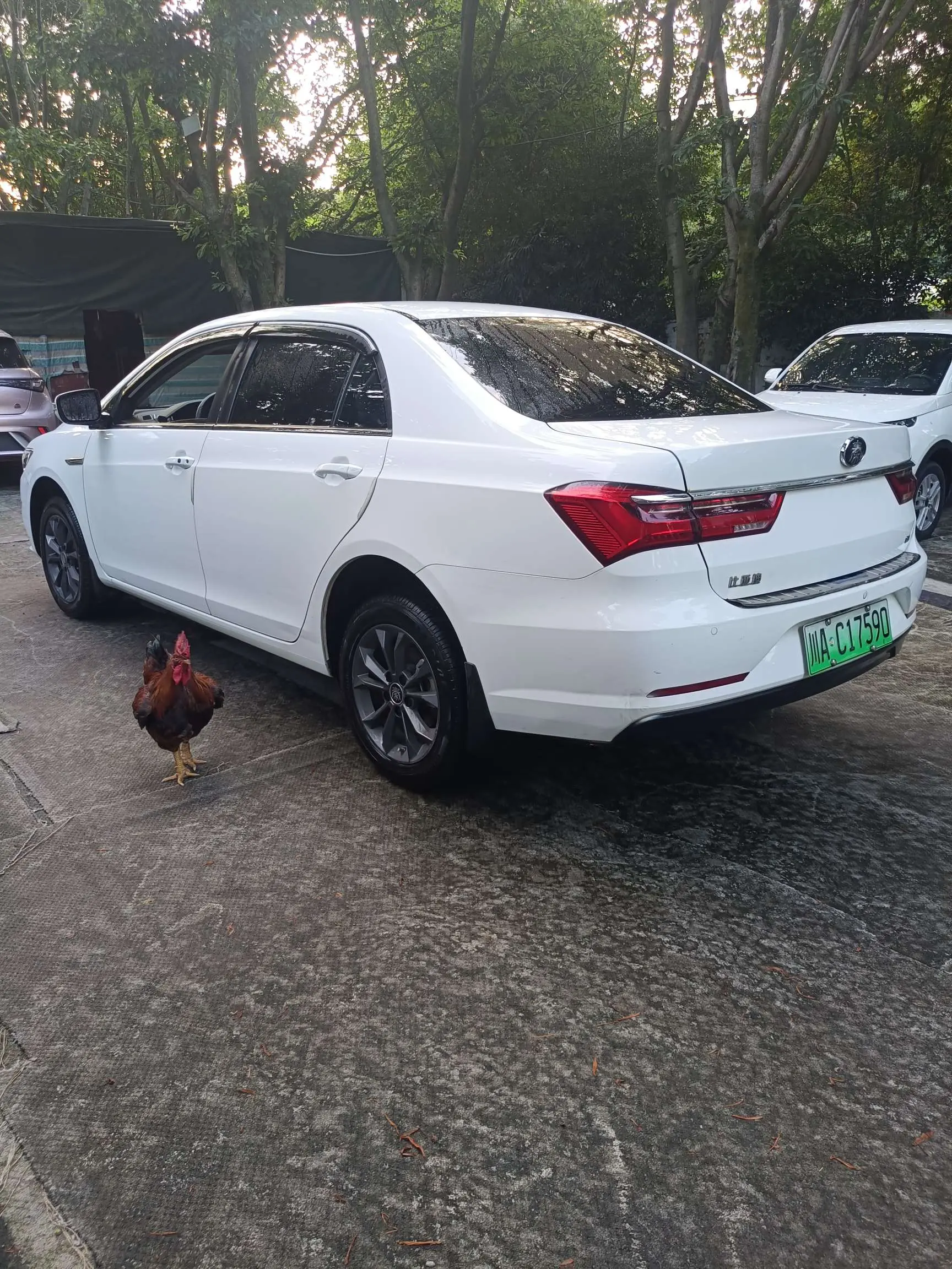 BYD QinEV