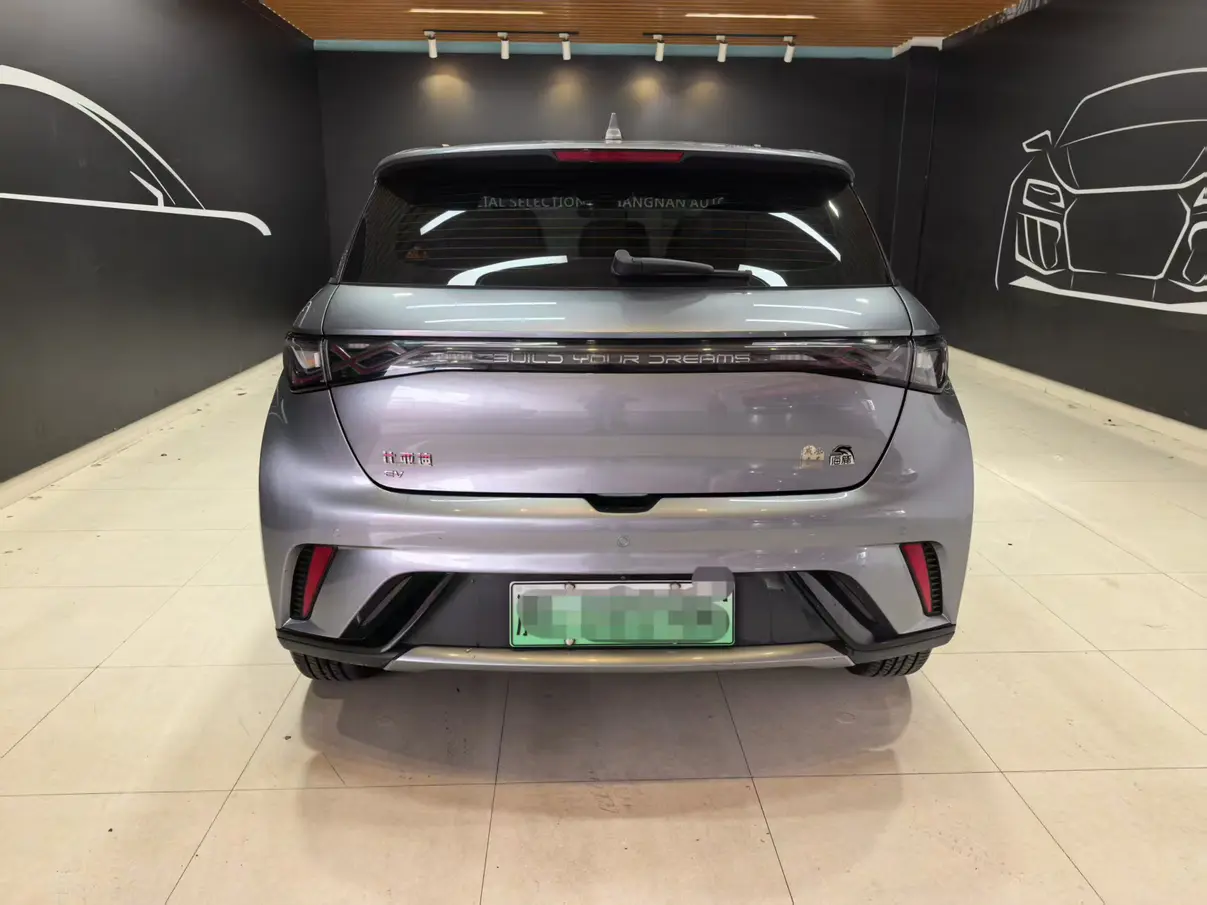 BYD Dolphin