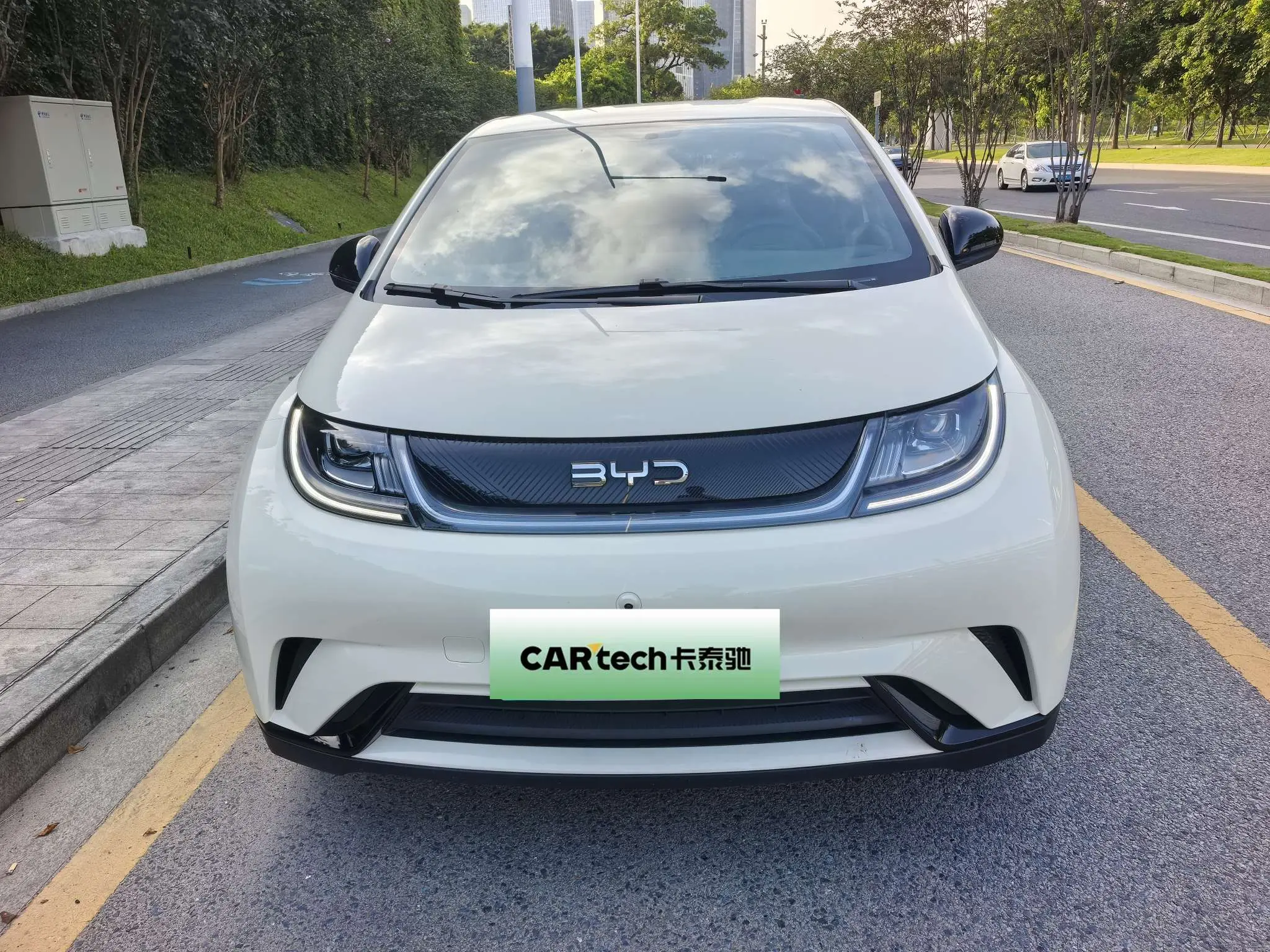 BYD Dolphin