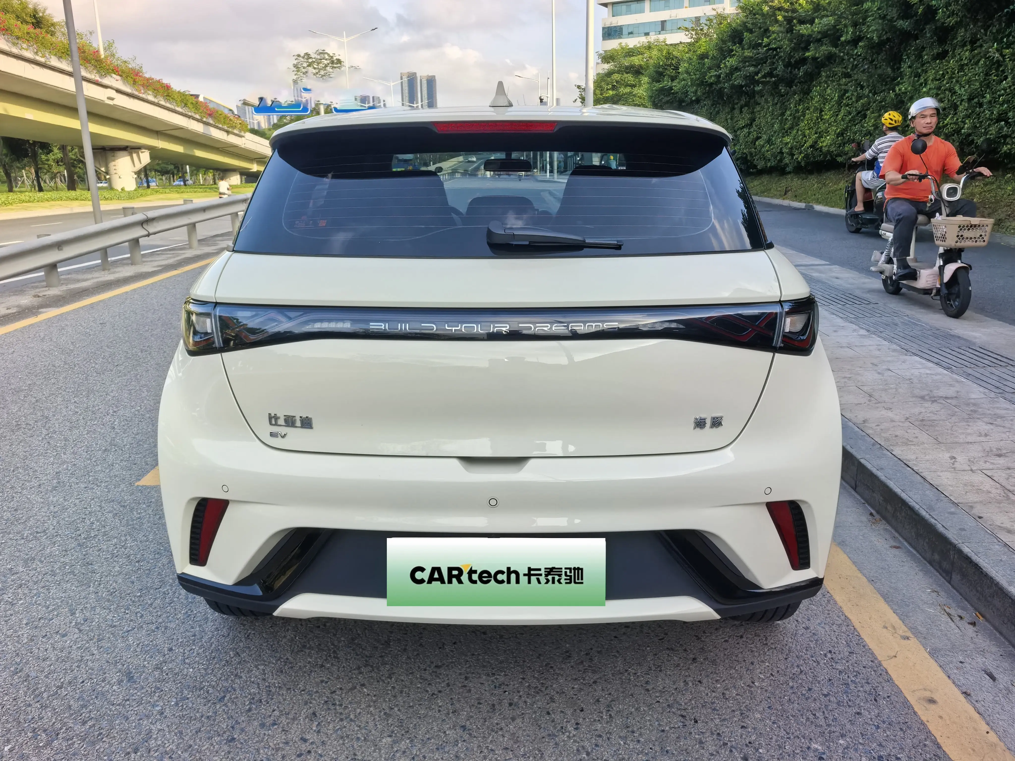 BYD Dolphin