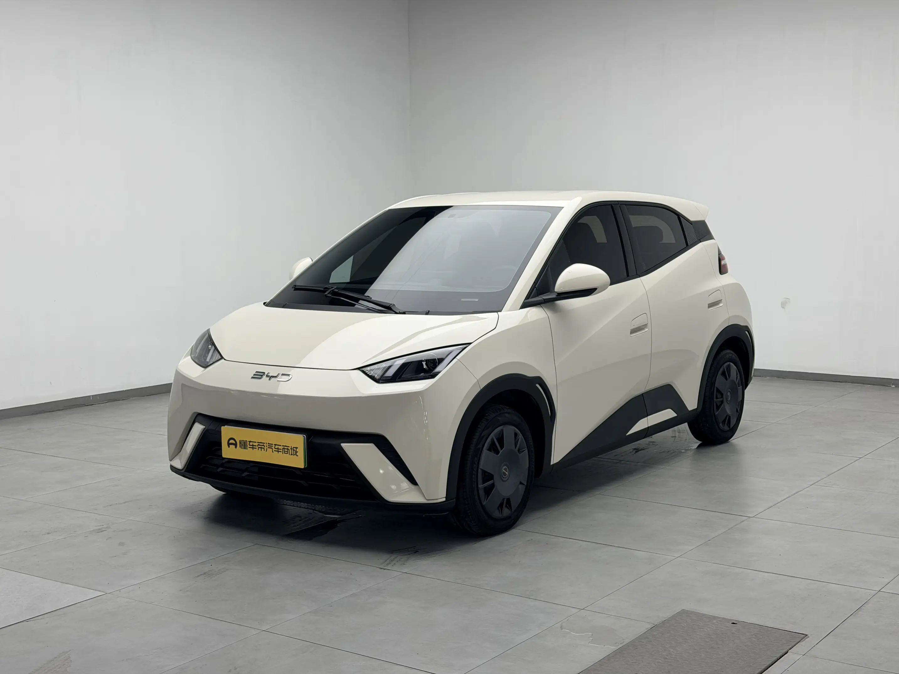 BYD seagull