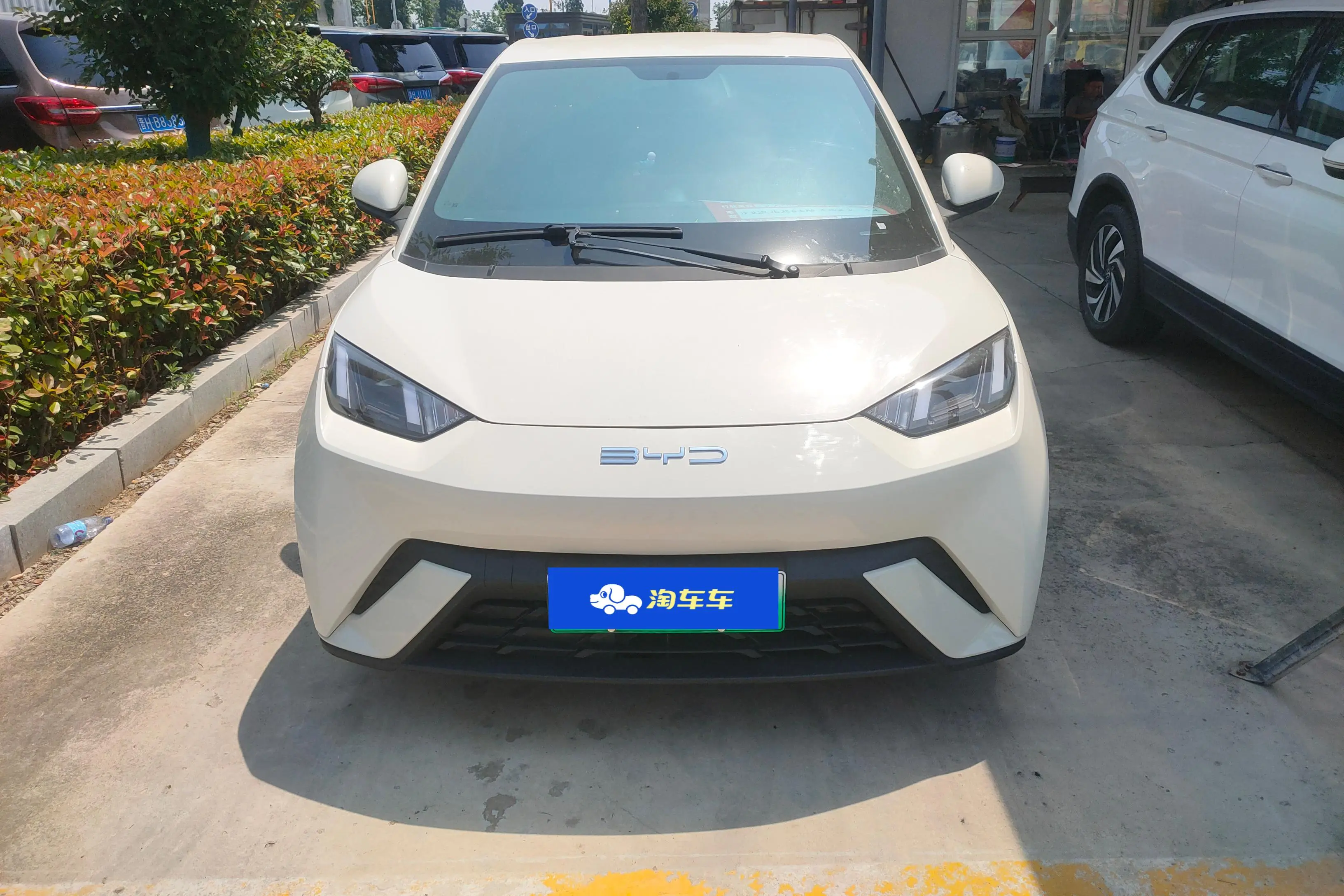 BYD Seagull