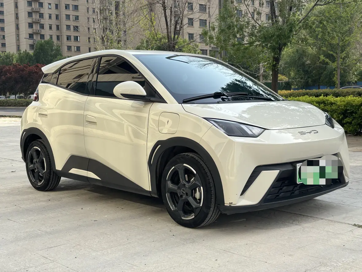BYD Seagull