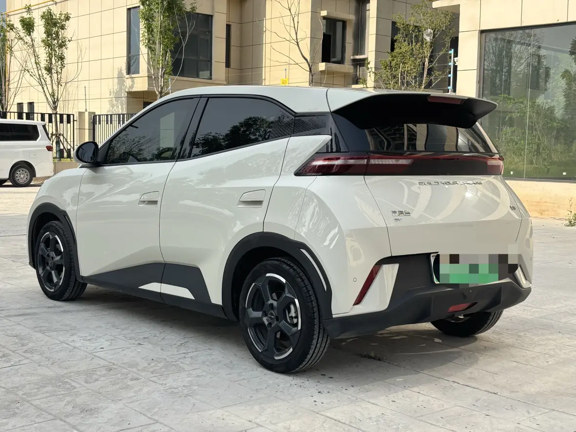 BYD Seagull