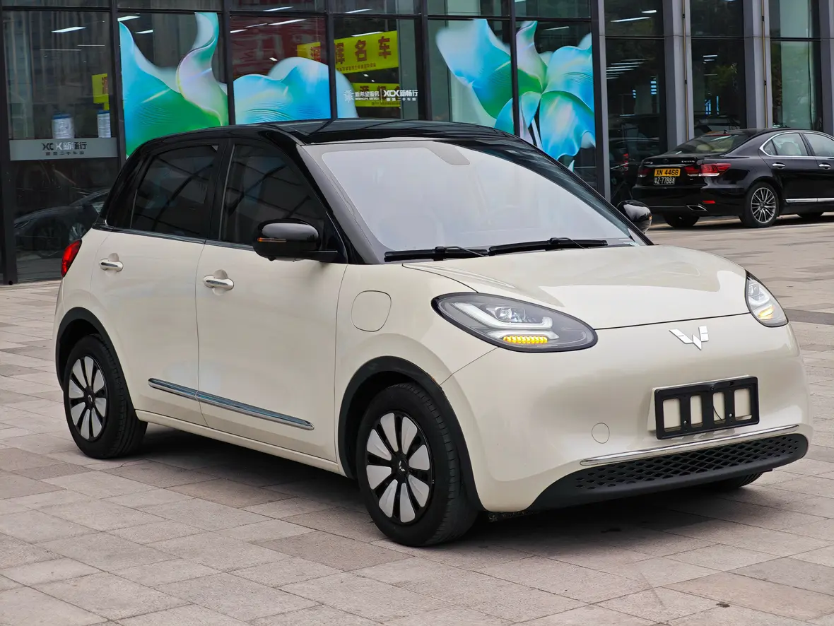 Wuling Bingo