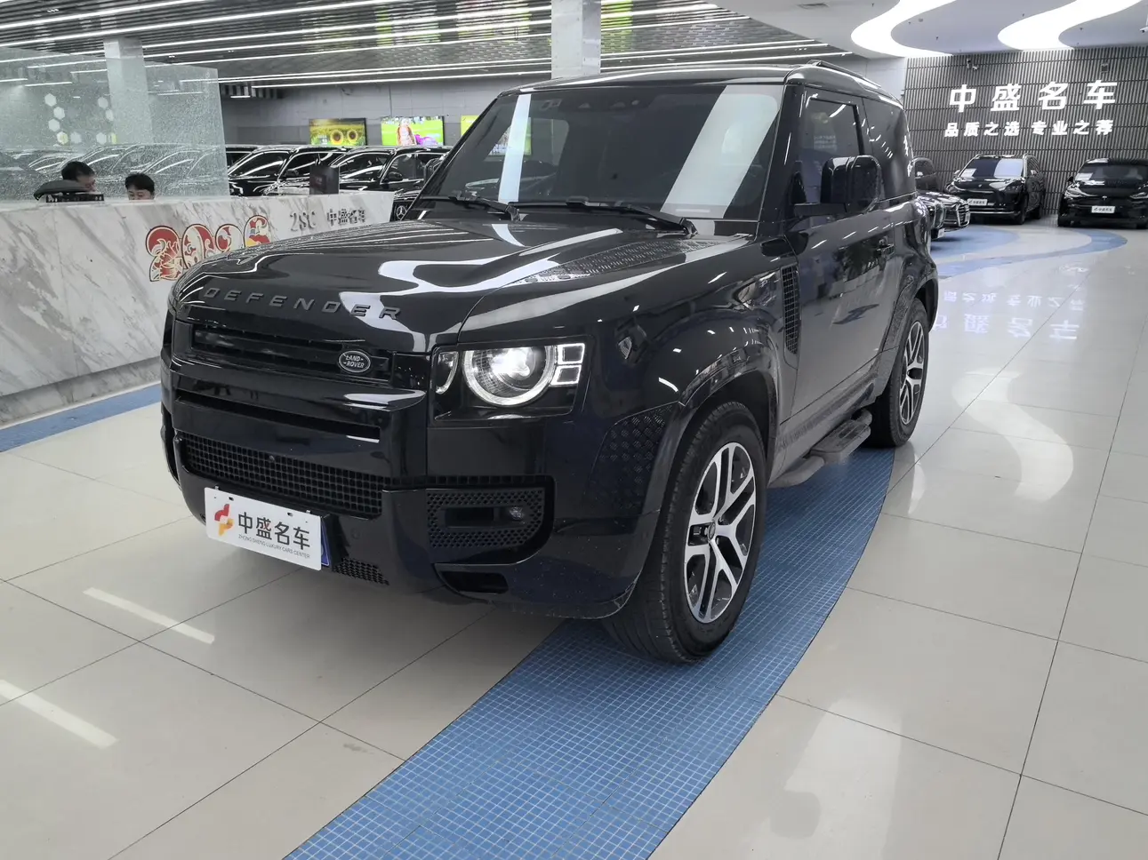 Land Rover guard