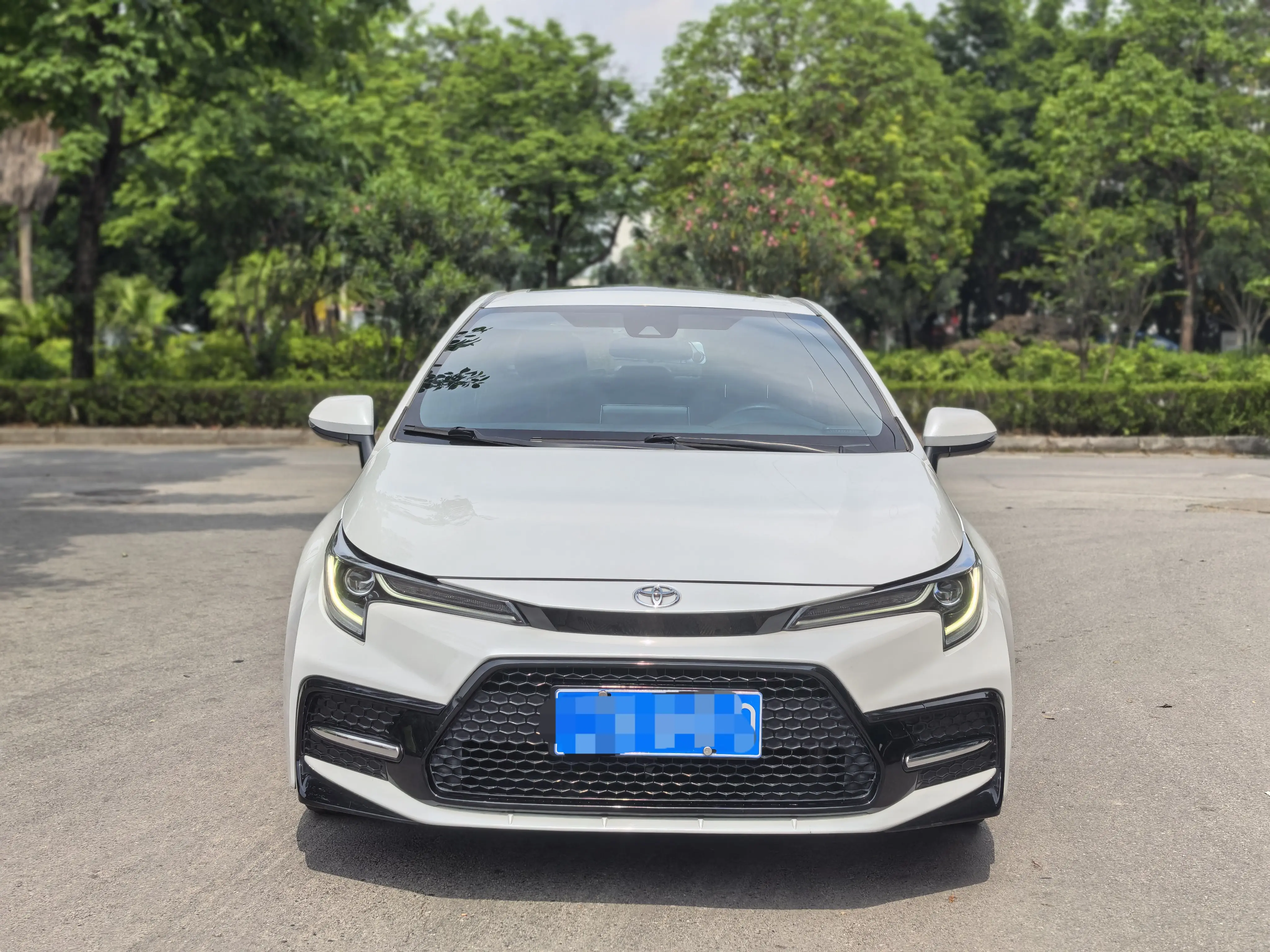 Toyota Levin