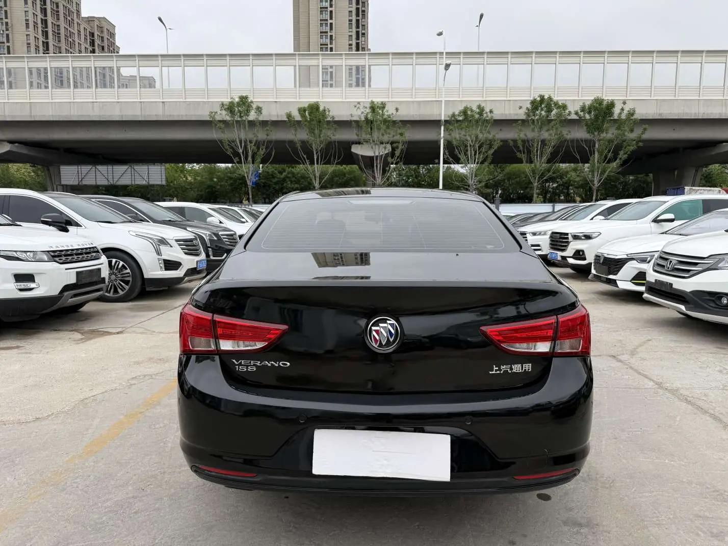 Buick Valeant