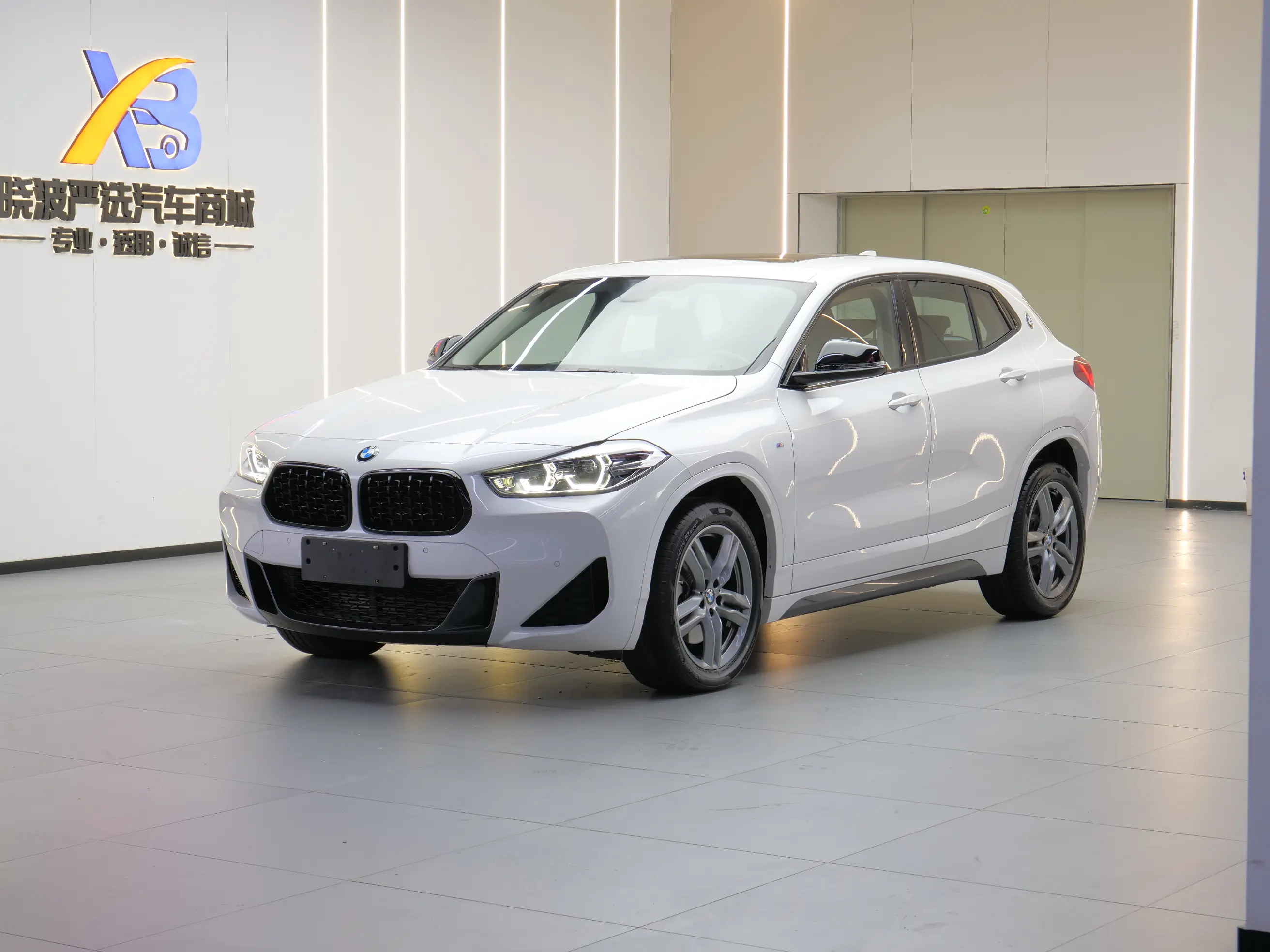 BMW X2