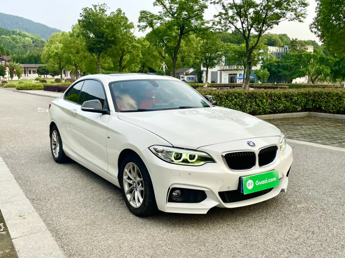 BMW 2 Series