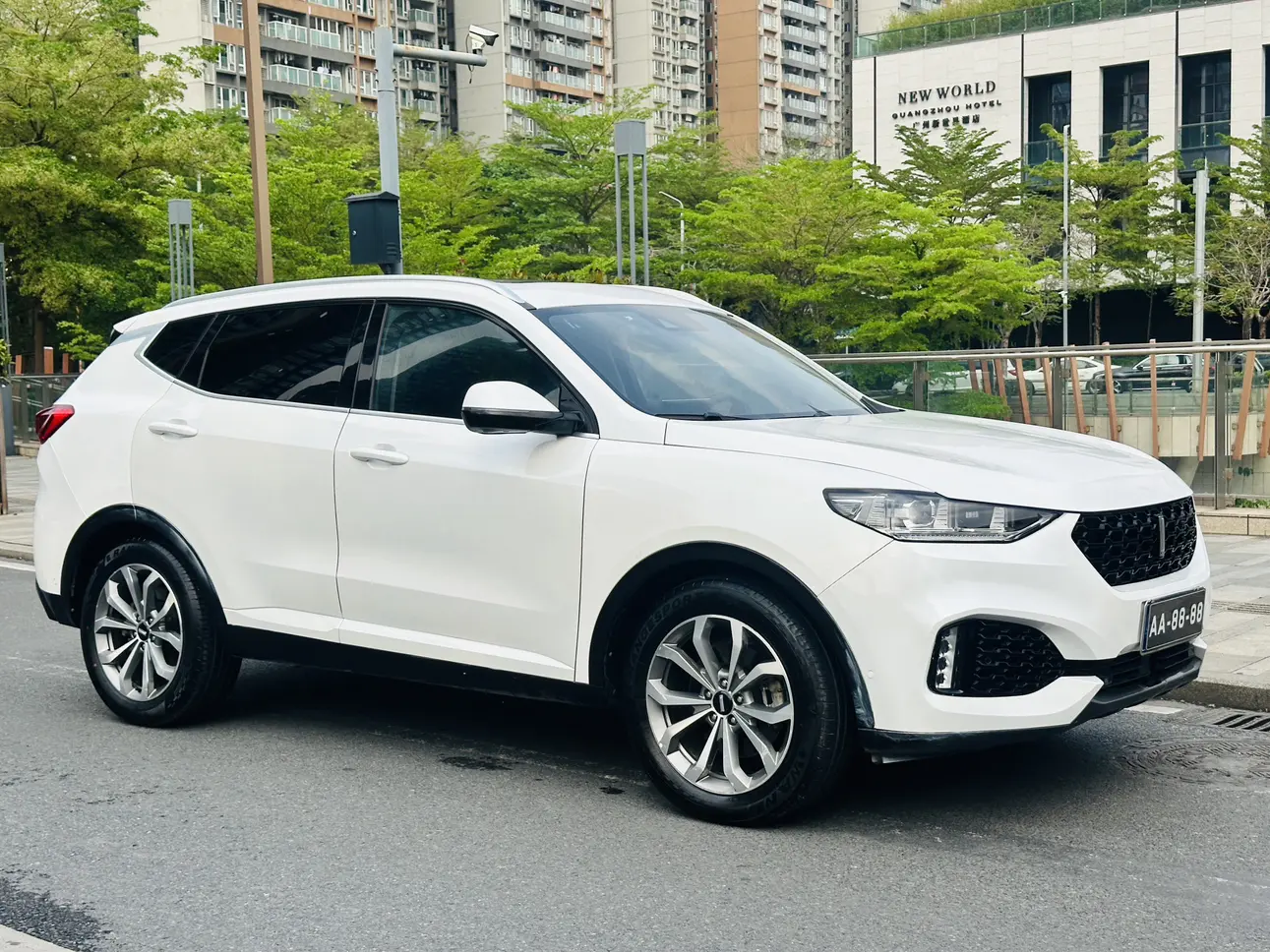 Wey Wei brand VV6