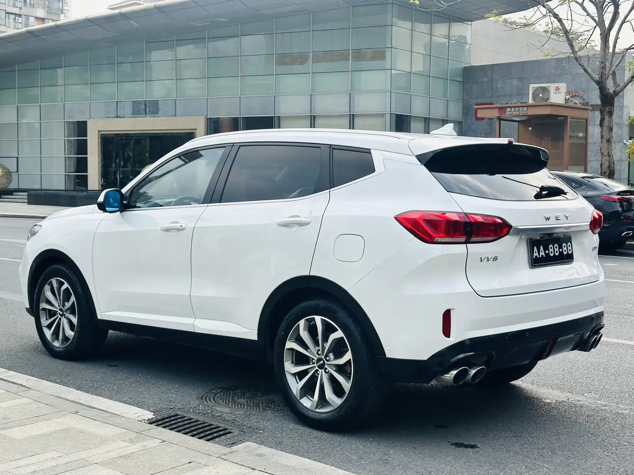 Wey Wei brand VV6