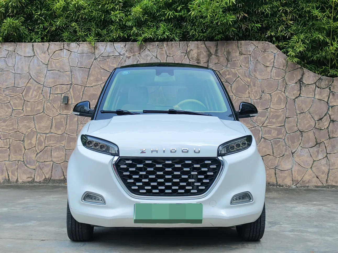 Zhidou D3
