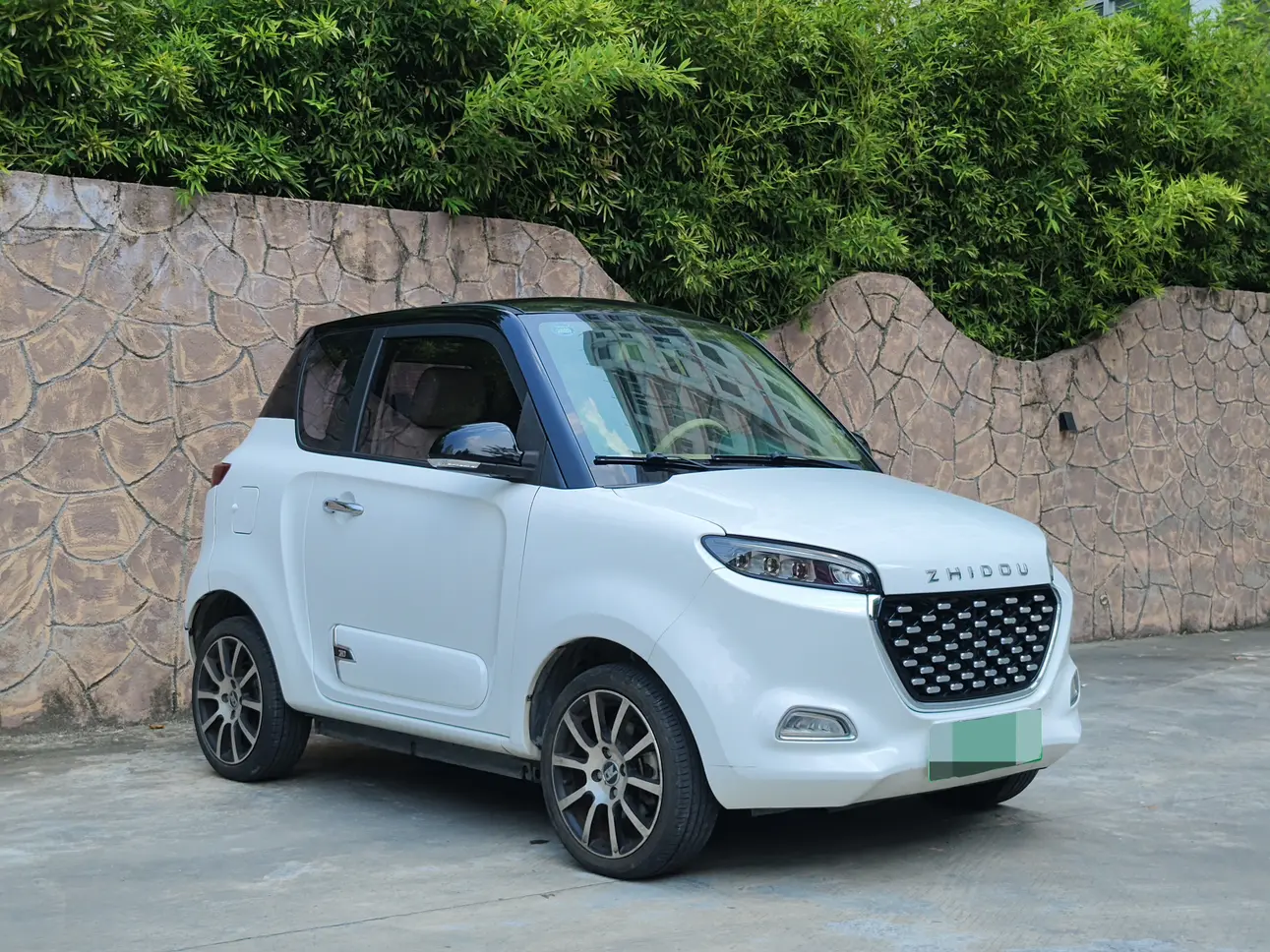 Zhidou D3