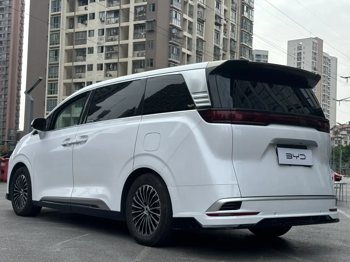 Denza D9 DM