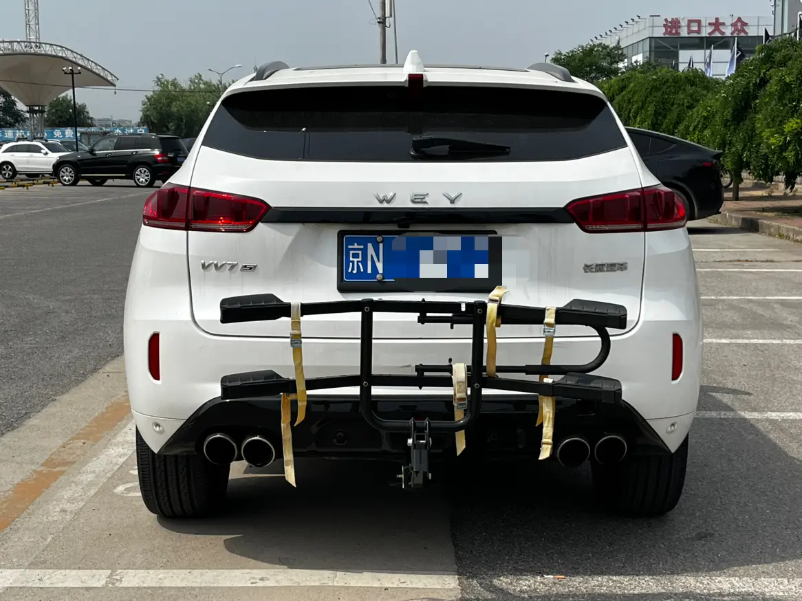 Wey Wei brand VV7