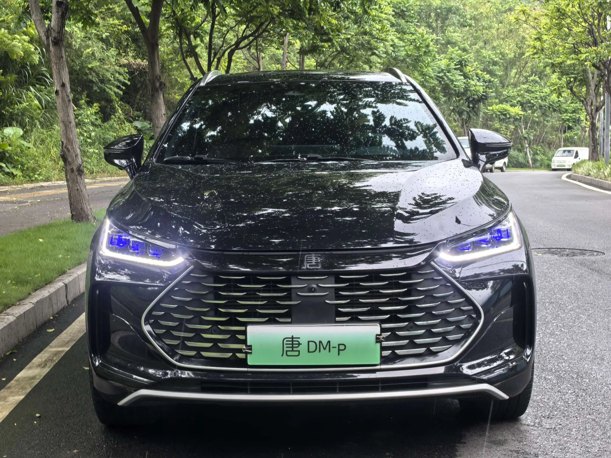 BYD Tang DM