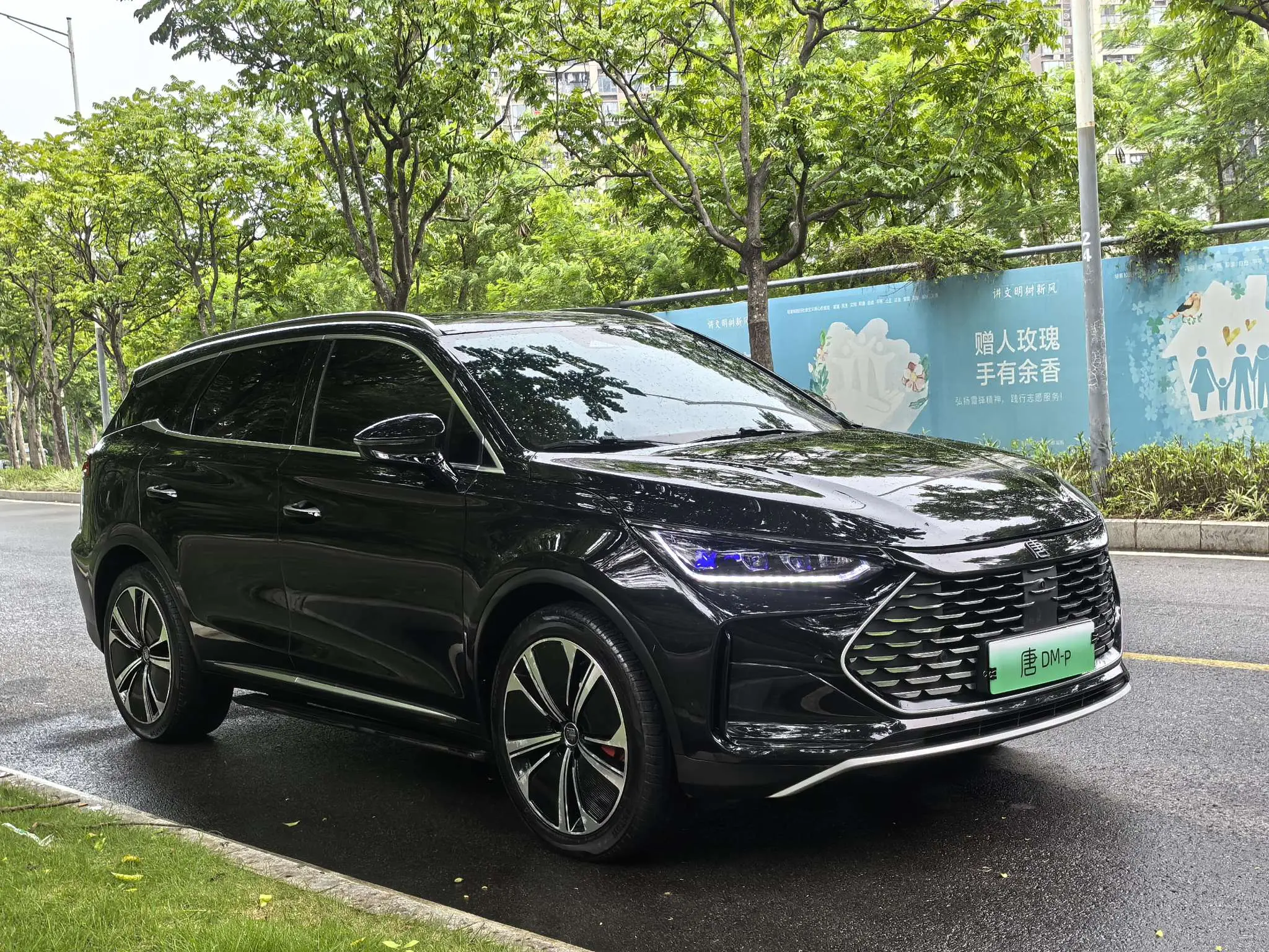 BYD Tang DM
