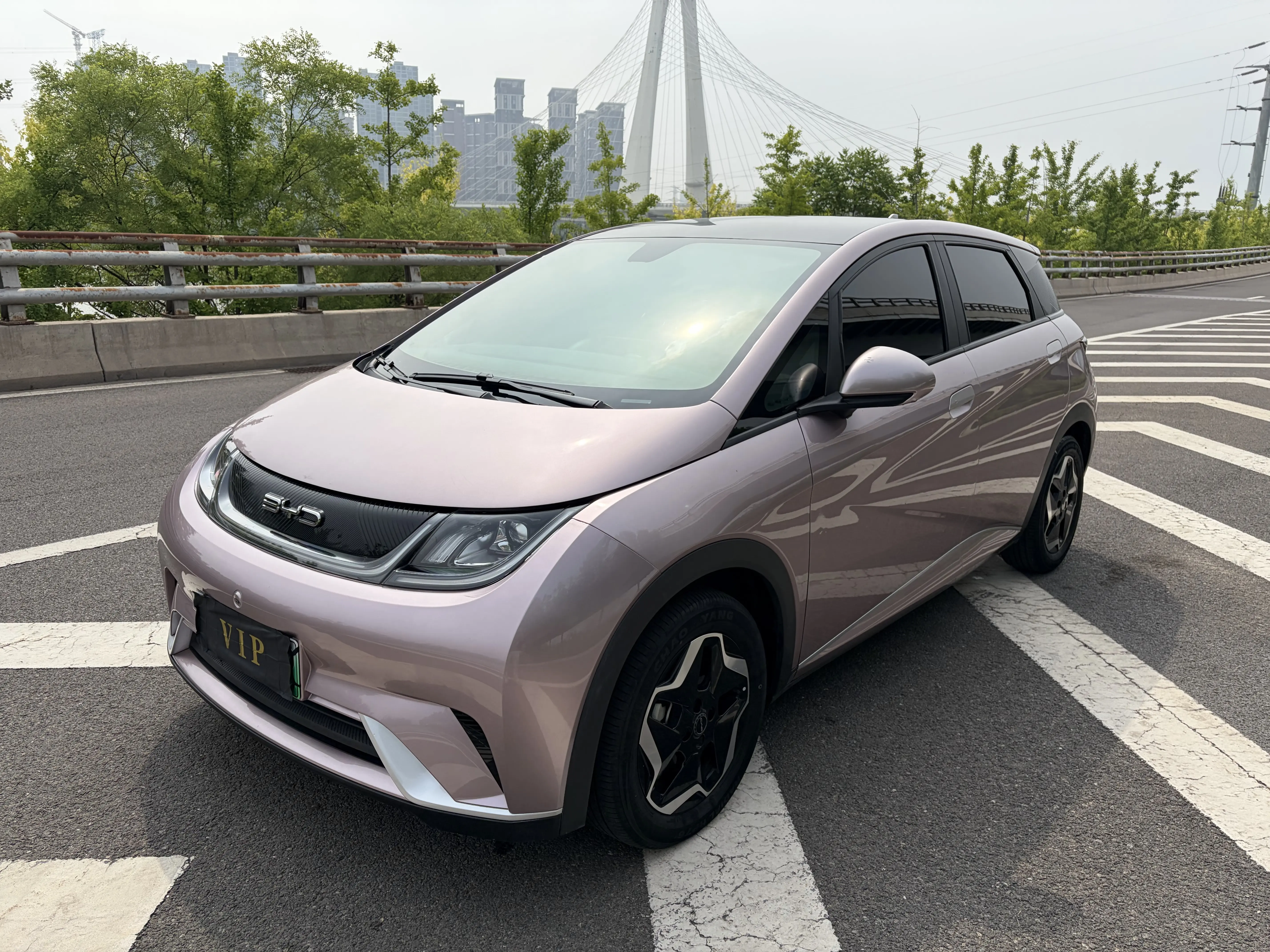 BYD Dolphin