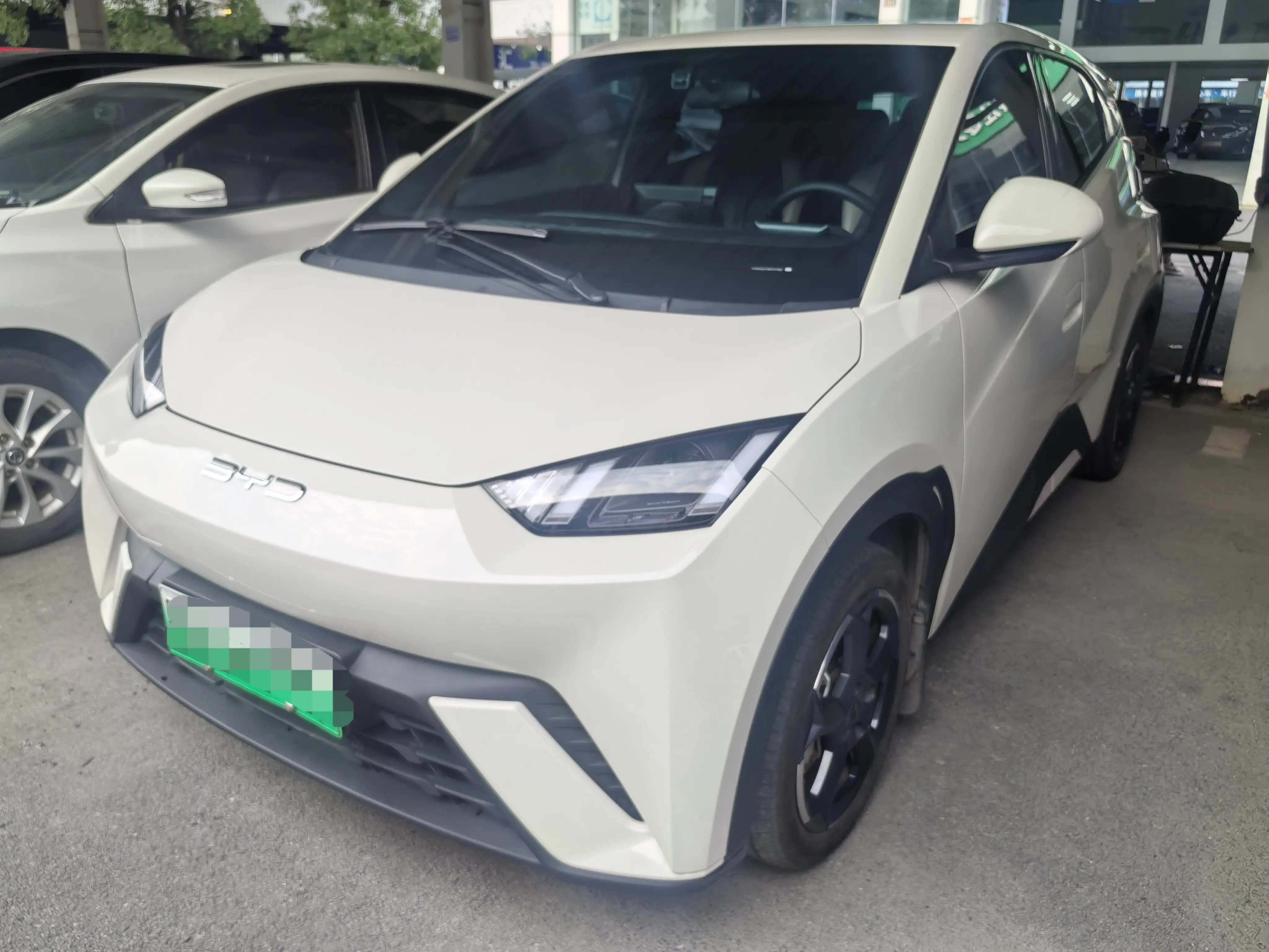 BYD Seagull